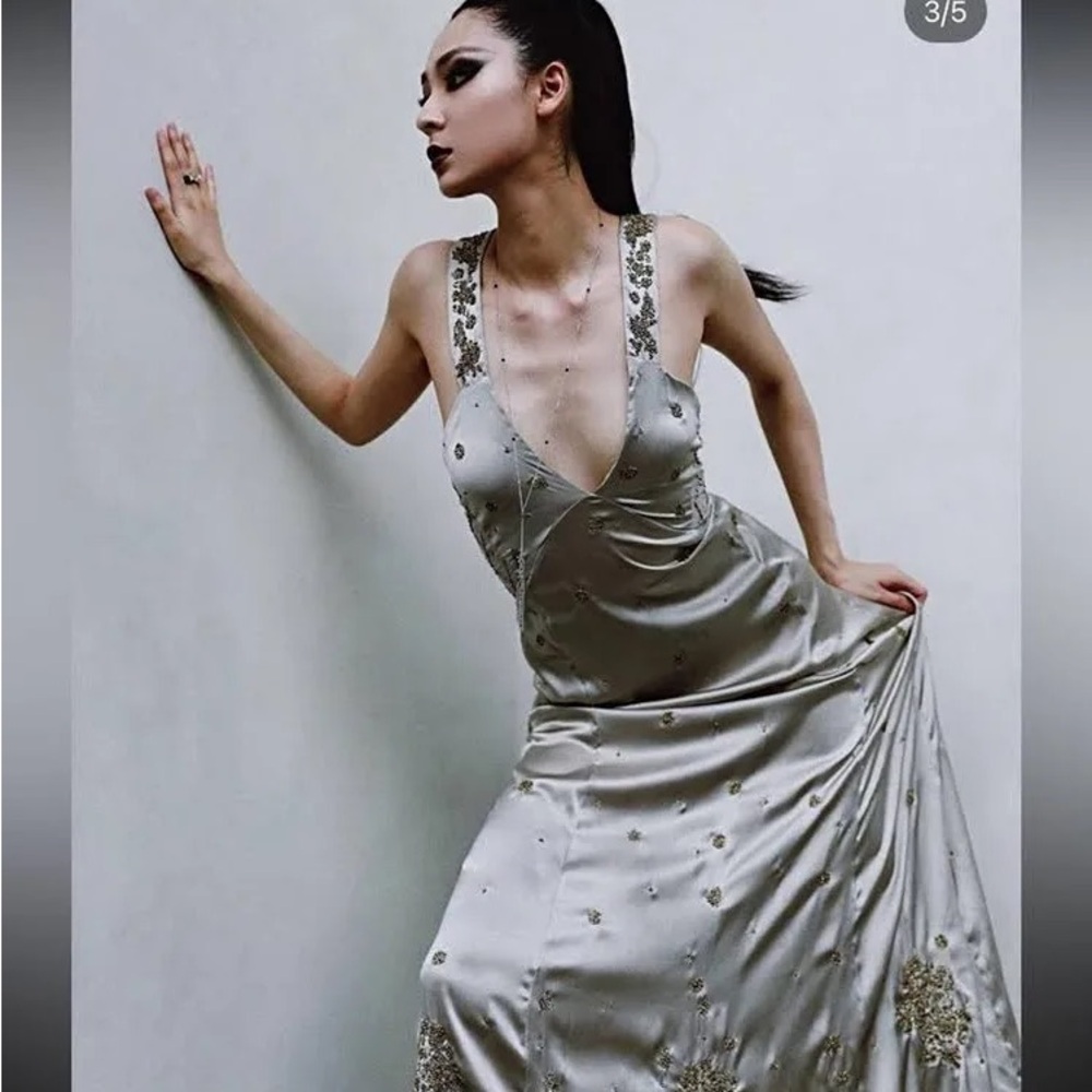 Zara Satin Embroidered Silver Gown